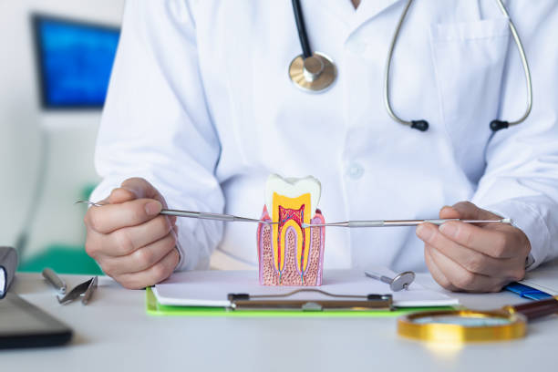 Best Emergency Dentist for Lost Fillings or Crowns in Union City, GA